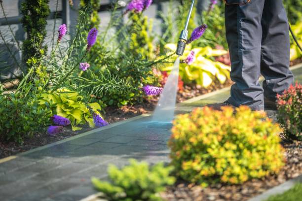 Best Soft Washing  in South Apopka, FL