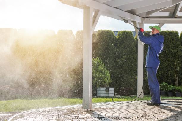 Best Spring Cleaning  in South Apopka, FL
