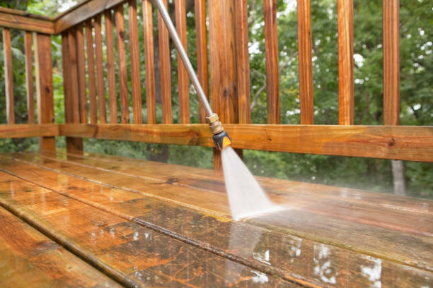 Best Gutter Cleaning  in South Apopka, FL
